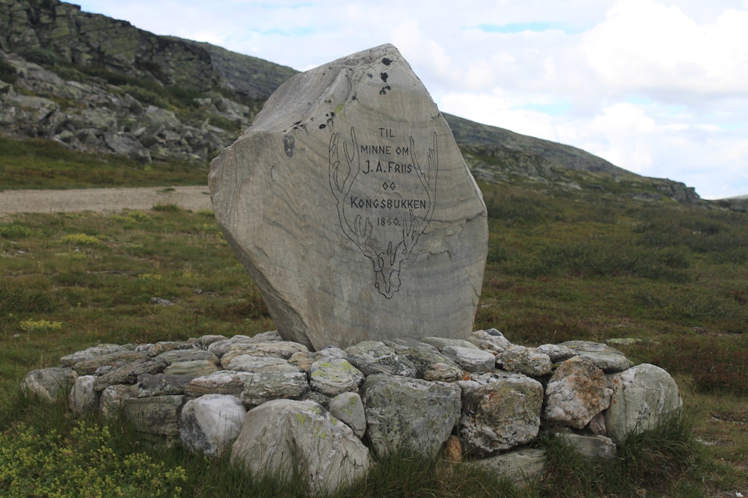 Ved Friisbua står det et steinmonument, reist av Norges Jeger- og Fiskerforbund, til minne om Friis og «kongsbukken». Den er tilegnet både Friis og «kongsbukken», som Friis felte sommeren 1860.