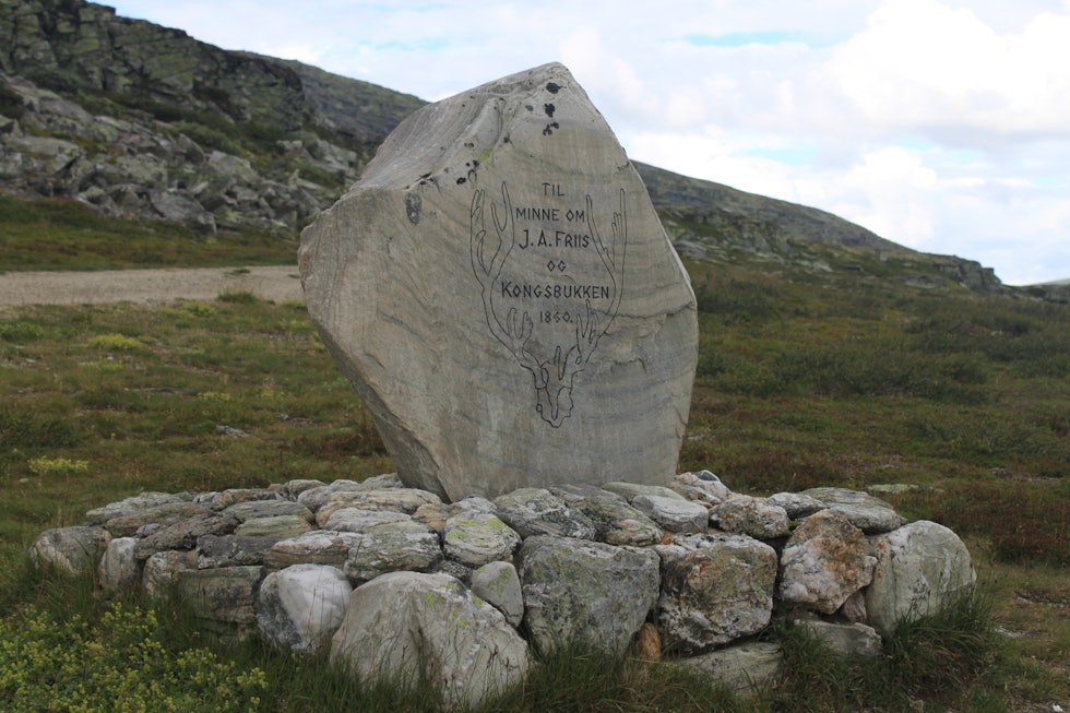 Ved Friisbua står det et steinmonument, reist av Norges Jeger- og Fiskerforbund, til minne om Friis og «kongsbukken». Den er tilegnet både Friis og «kongsbukken», som Friis felte sommeren 1860. Ved Friisbua står det et steinmonument, reist av Norges Jeger- og Fiskerforbund, til minne om Friis og «kongsbukken». Den er tilegnet både Friis og «kongsbukken», som Friis felte sommeren 1860.