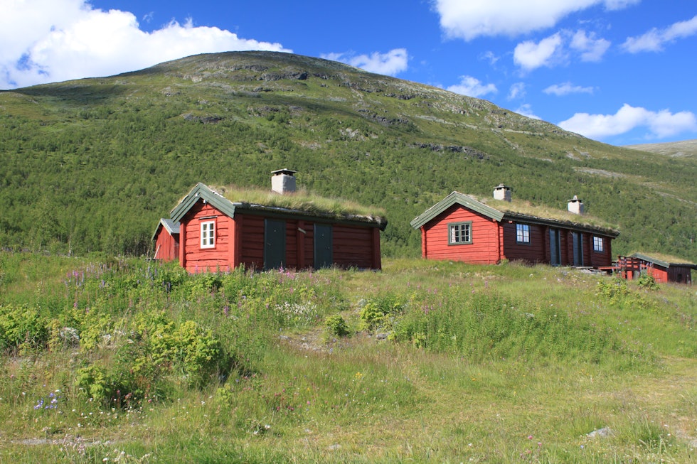 Sikkilsdalsseter ble bygd på 1700-tallet og de første turister kom på 1800-tallet. Sikkilsdalsseter ble bygd på 1700-tallet og de første turister kom på 1800-tallet.