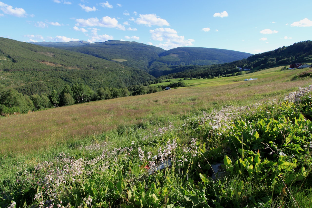 Vakkert kulturlandskap i Skåbu. Skåbu i Gudbrandsal
