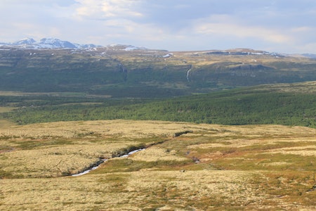 Fjellandskapet i Kvamsfjellet