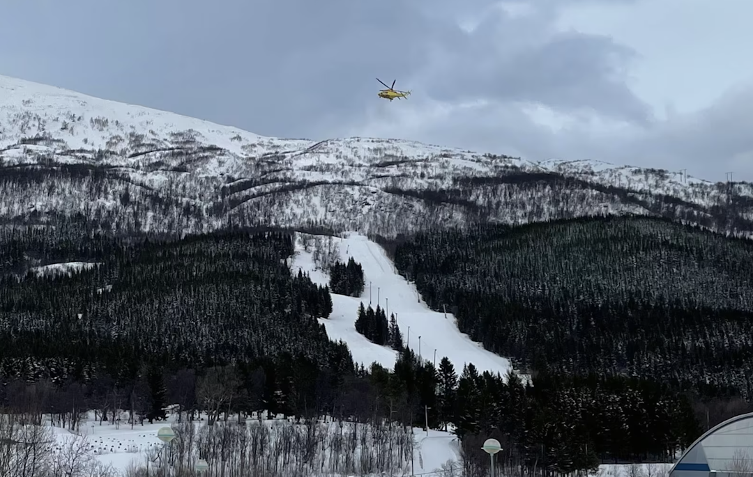 Snøskred lyngen