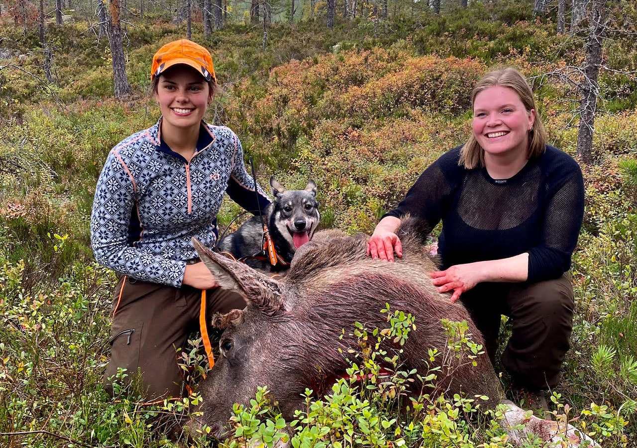 Jegerjentene debatterer jakt: Leder Amalie Bjorøy (t.h.) vil diskutere jenter og jakt under Camp Villmark. To kvinnelige jegere og jämthund med felt elg