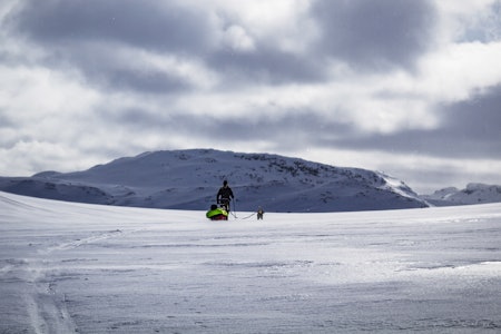 ET DRØMMESTED: Hardangervidda med ski, telt og pulk står høyt på lista hos mange. Foto: Rolv-Erik Berge hardangervidda med fjellski