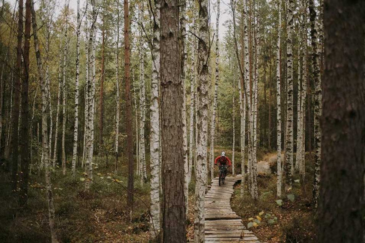 SKOGENS RO: .. vil vi vel alle oppleve? Illustrasjonsfoto: Kristoffer H. Kippernes SKOGENS RO: .. vil vi vel alle oppleve? Illustrasjonsfoto: Kristoffer H. Kippernes