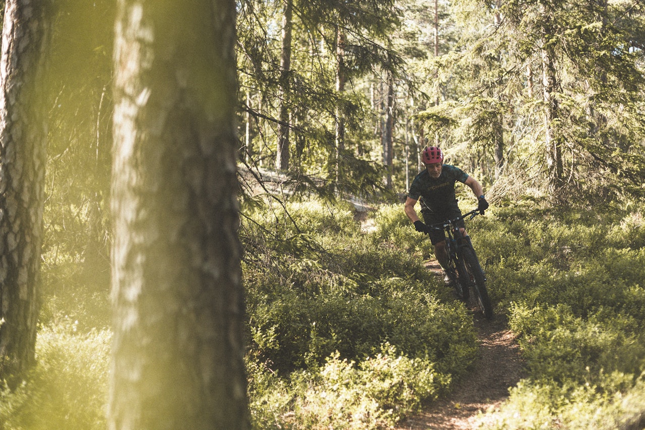 SOMMERDRØM: Morten Vedahl kjenner stiene i Trømborg-fjella bedre enn de fleste. Fint for artikkelforfatteren, som kommer på sommer-besøk.