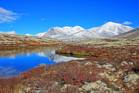 Høststemning i fjellet. Storronden (2138 moh.), Vinjeronden (2044 moh.) og Rondslottet (2178 moh.). Foto: Egil Skredemellom Storronden i Rondane