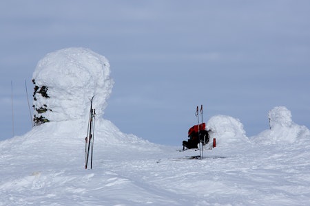 Formokampen Foto: Per Arne Slotte Formokampen