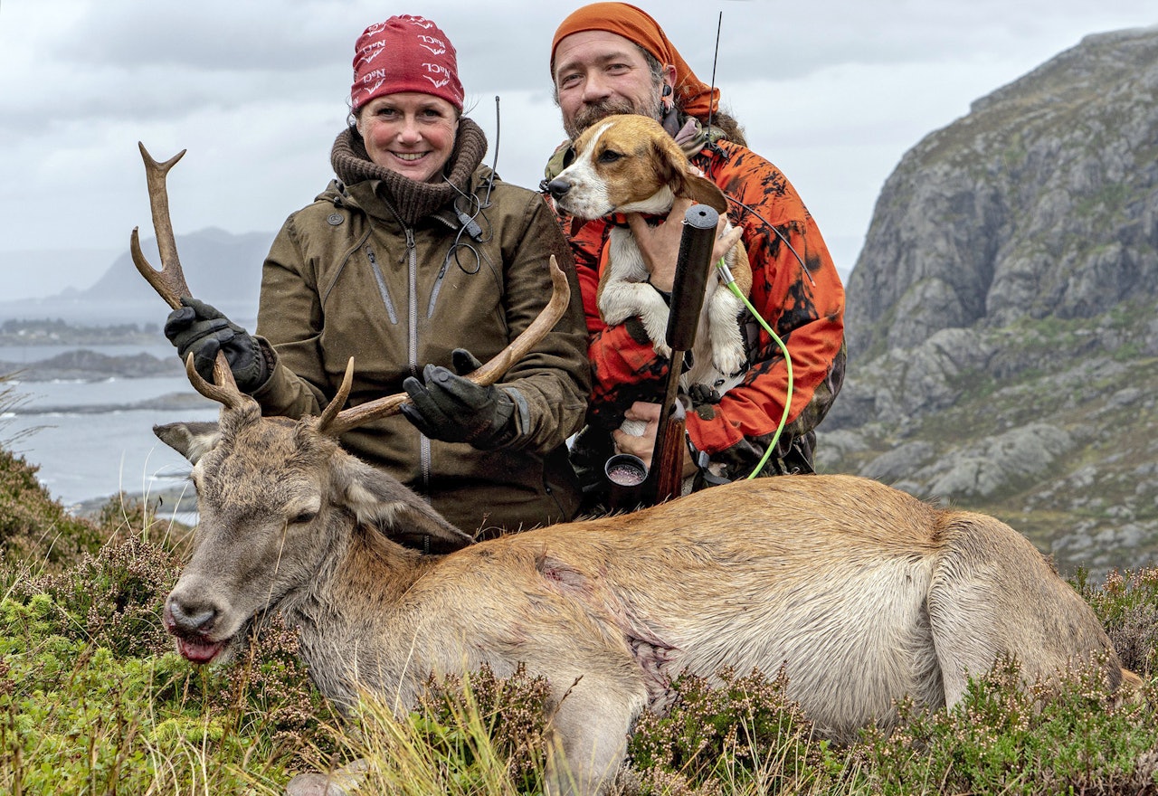 Kvinnelig og mannlig jeger med beagle på hjortefall.