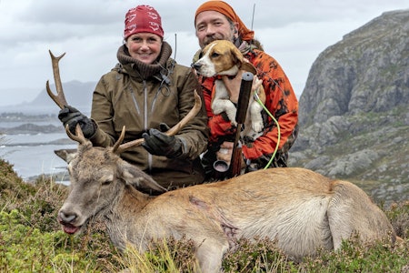 Kvinnelig og mannlig jeger med beagle på hjortefall.