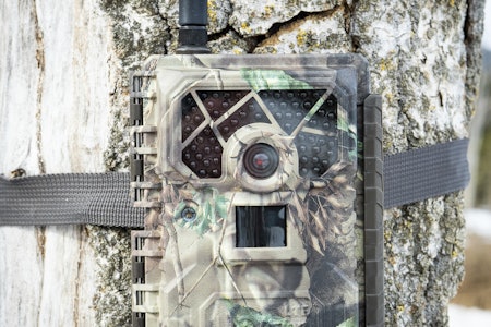 Flopp for toppmodell: Uovision Glory LTE viltkamera Uovision Glory LTE satt opp i et tre