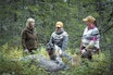 Bra jobba: Ada Bredalen (t.v.), Mattis og moren Ruth skryter av gråhunden Gråtass som stødig førte den unge hundeføreren fram til piggoksen som Ada hadde felt. Ung ettersøksjeger Mattis Pettersen (11) med grå elghund Gråtass