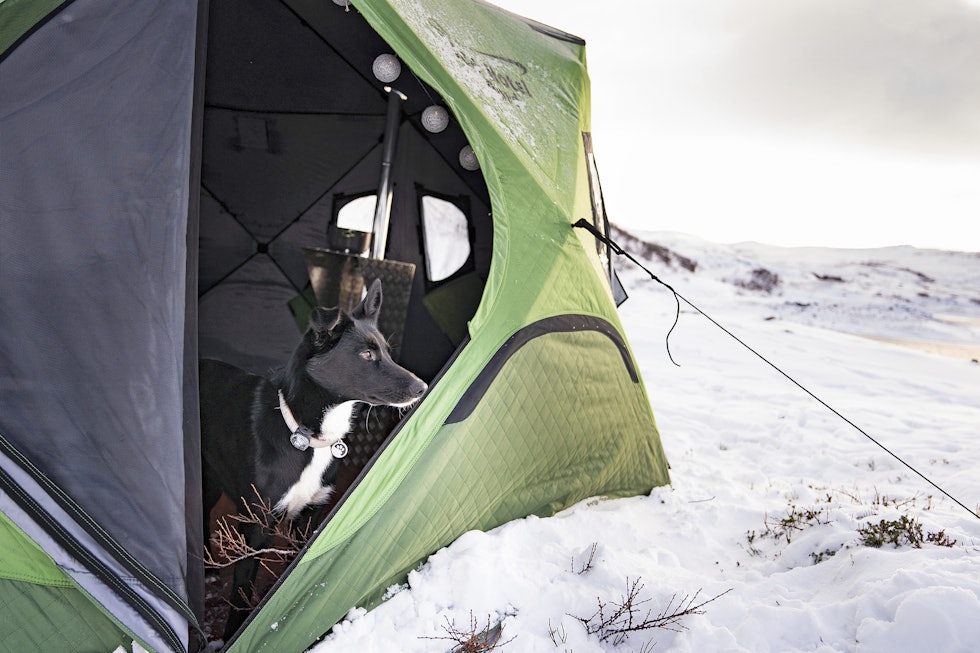Et hjem på vidda: Nord IceHotel er et fullgodt hjem på vidda. I teltet kan du nyte både utsikten og det å ha det bekvemt inne.