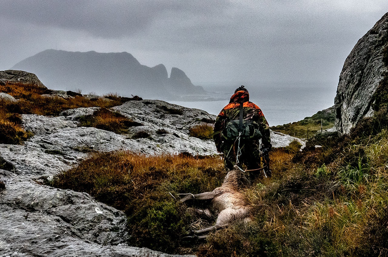 Fra flere hold presses det nå på for at hjorteveksten må bremses opp for ikke å påføre grunneierne skade. (Ill.foto: Åsgeir Størdal) Hjortejeger drar felt hjortebekk ut mot Kinn