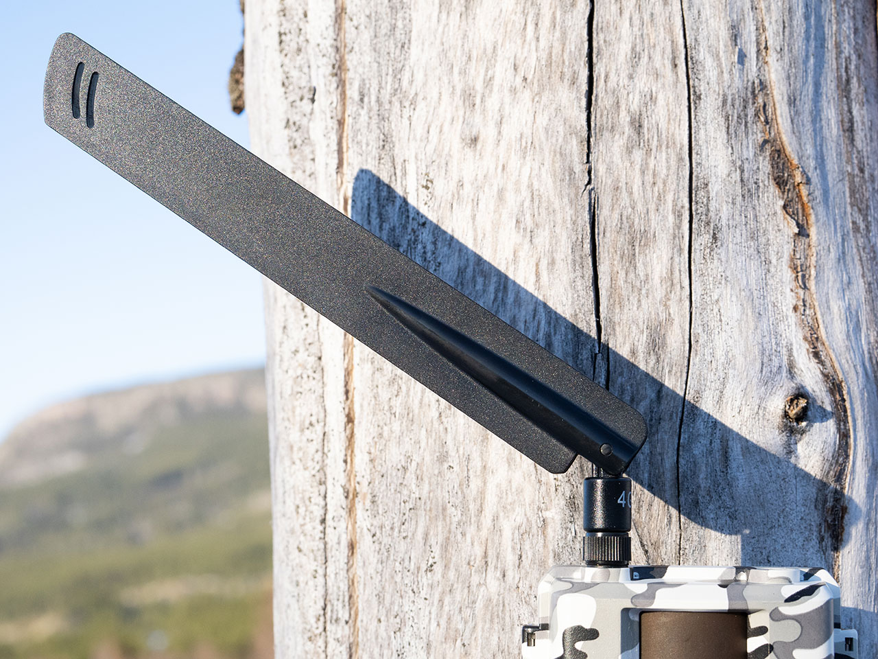 Antenne på viltkamera peker utover fra trestolpe.