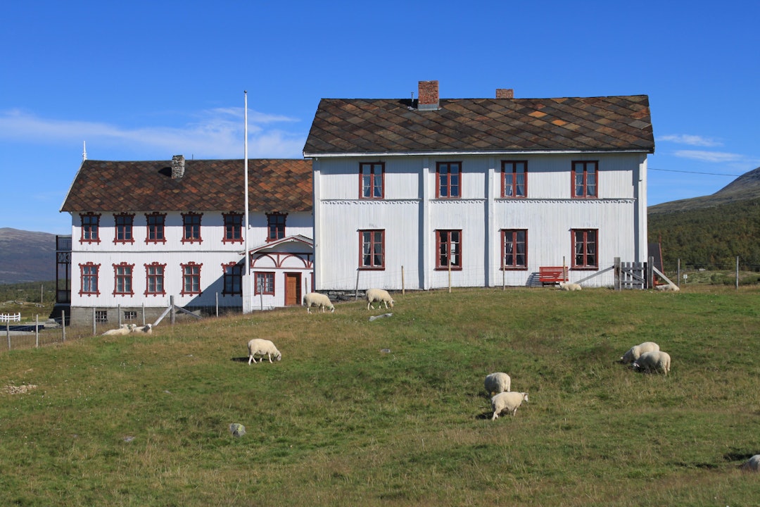 Fokstugu Fjellstue, som ligger like ved Fokstumyra, har lange tradisjoner med å gi husrom til vandrere og naturelskere.