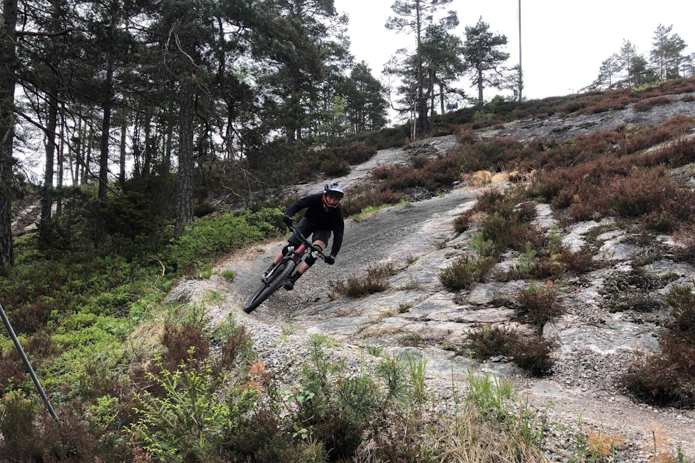 TILRETTELAGT: Kjerringåsen har løyper i flere vanskelighetsgrader. Foto: Lars Frederic Nordbakken. kjerringåsen sykkelpark