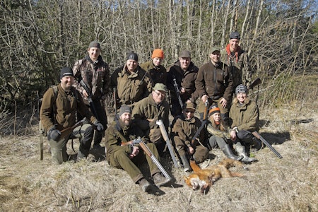 Sesongens siste: Tollesrud jaktlag i vestlige Värmland oppsummerer med ei vellykka avslutning på revejaktsesongen. Jaktlag med felt rødrev etter vellykket drivjakt.
