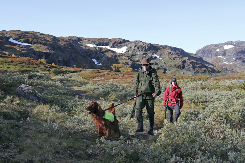 Hund i bånd: Skal du krysse andres jaktterreng på vei til jakt, er det god skikk å ha hunden i bånd. Jakthund i bånd og to jegere i fjellet