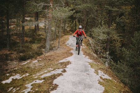 SYKLING I ØSTMARKA: Oslo-syklistene elsker å sykle i Østmarka, og håper å kunne fortsette som normalt selv om marka blir nasjonalpark. Foto: Kristoffer H. Kippernes