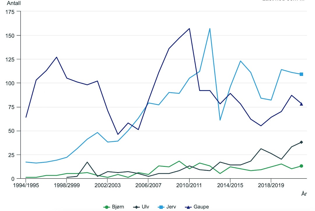  I tillegg ble tre hybrider av ulv og hund skutt i Østfold i 1999/2000. Kilde: Registrert avgang av store rovdyr, Statistisk sentralbyrå.