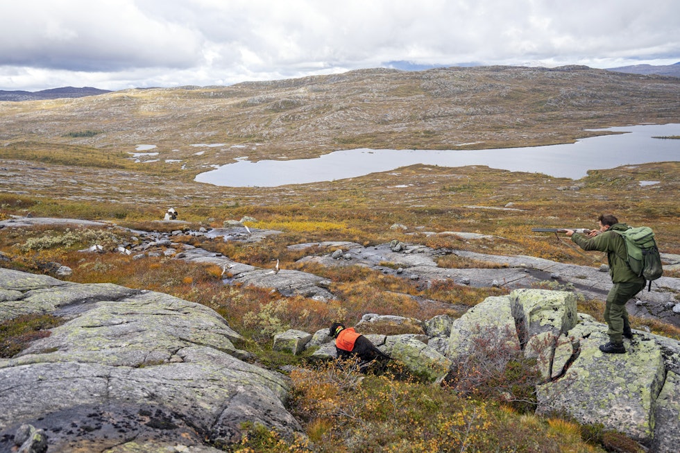 Ro i oppflukt: Einvik og Dahl forteller at det spesielt en utfordring mange fuglehundjegere sliter med; ro i oppflukt. Ro i oppflukt: Einvik og Dahl forteller at det spesielt en utfordring mange fuglehundjegere sliter med; ro i oppflukt.