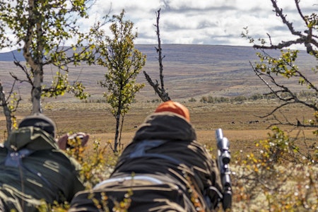 Rein magi: Hvor de kom fra, og hvor de stakk seg bort, kan ingen si. Men plutselig så var de bare der. Rein magi: Hvor de kom fra, og hvor de stakk seg bort, kan ingen si. Men plutselig så var de bare der.