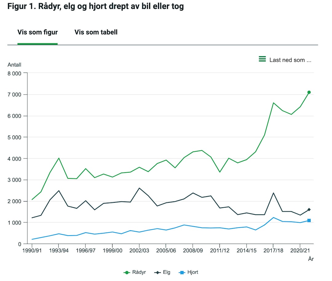 Antall rapporterte trafikkdrepte rådyr er nær doblet de siste ti årene. (Kilde: SSB) Statistikk over trafikkdrept hjortevilt som rådyr, hjort og elg
