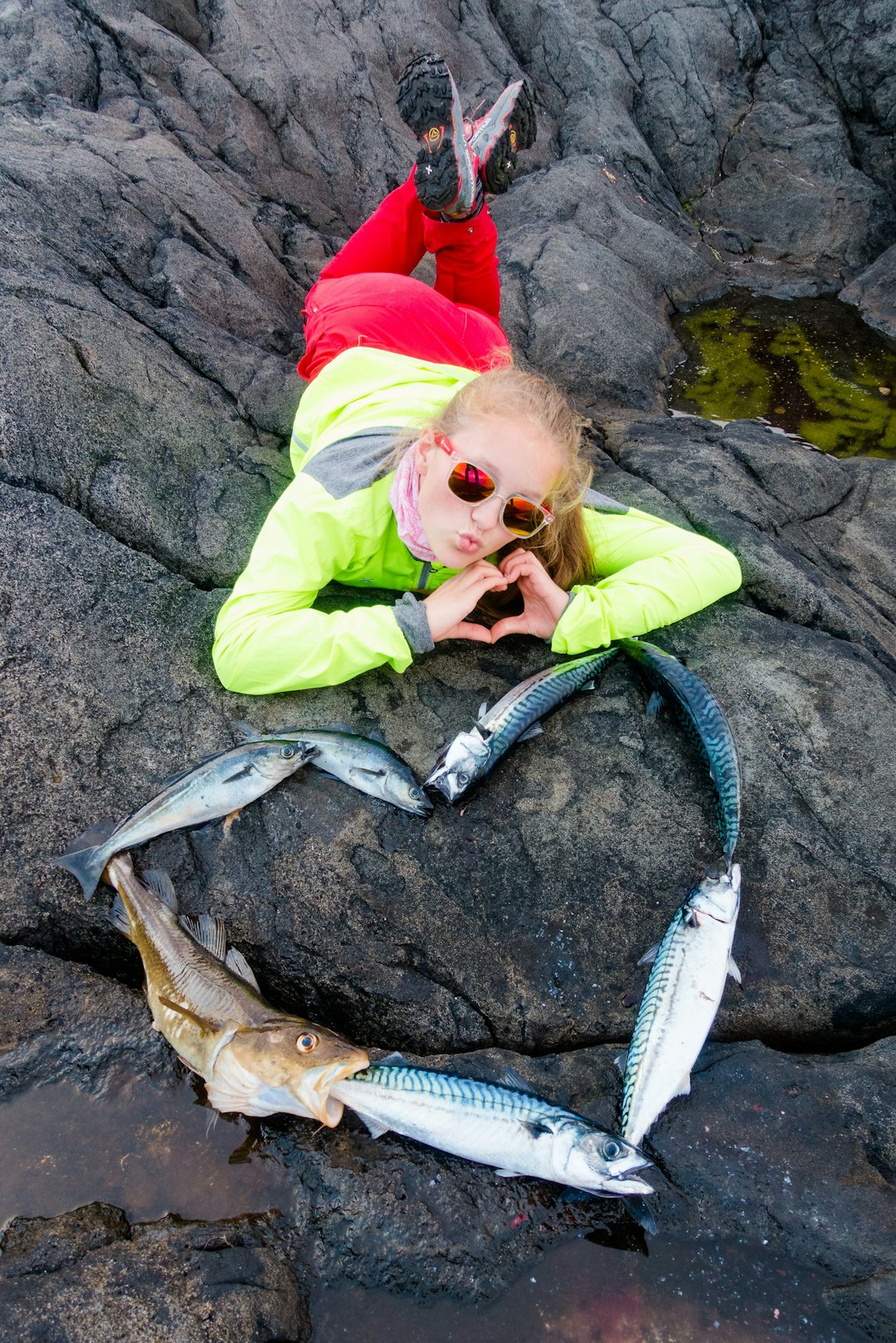 BRA FOR HJERTET: Fet og hjertegod makrell, sammen med sei og en mager torsk (rett over minstemålet). Sistnevnte hadde en stor plastbit i magen. Foto Jon Olav Larsen fisk