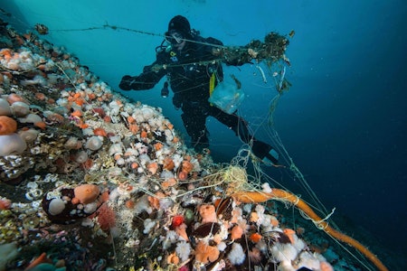 SLUKPLUKKING I SALTSTRAUMEN: Nærmere 80 kilo søppel er plukket opp hittil i år, forteller dykker og guide Fredrik Ihrsén, som driver guidefirmaet Nord & Ne i Saltstraumen. Foto: Vebjørn Karlsen