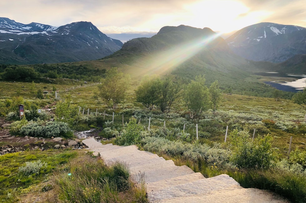 SOLOTUR: Kveldstur heilt åleine på Knutshøe 1517 moh. Foto: Jan-Norvald Jønsson