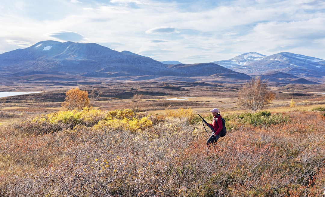 UBERØRT NATUR: For noen er verdien av å jakte i uberørt natur verdt mer enn noe annet. (Ill. foto: Christer Rognerud) UBERØRT NATUR: For noen er verdien av å jakte i uberørt natur verdt mer enn noe annet. (Ill. foto: Christer Rognerud)