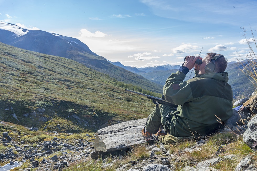 Jakt blant jotner: Jaktleder Frode Hansen løfter kikkerten opp mot Storgrovbreen. Her forsvinner sporene av 13-takkeren.