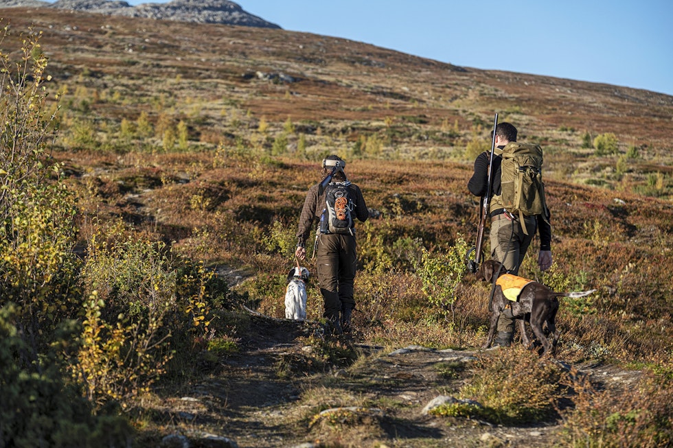 Oppvarming: Hundene har på dekken og går i fot fram til slippet går. På den måten får de varmet opp muskulaturen før jaktstart. Oppvarming: Hundene har på dekken og går i fot fram til slippet går. På den måten får de varmet opp muskulaturen før jaktstart.