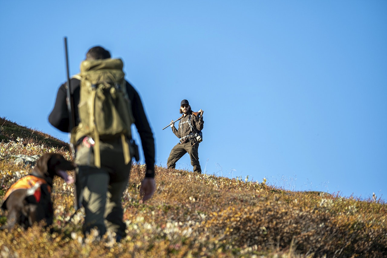 FÆRRE: Rypejakta har hatt størst nedgang i antall aktive jegere for jaktåret 2021-2022. (Ill.Foto: Alexander Schindler)