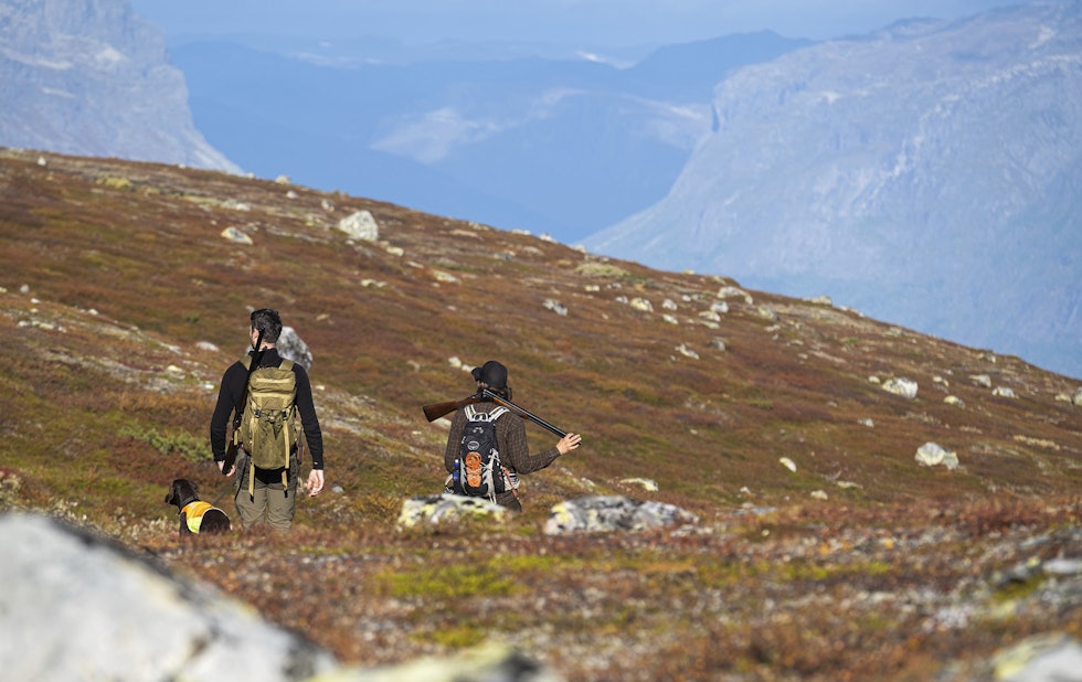 Utsikt: Vel oppe er utsikten over toppene i Valdres belønningen. Her er det vakkert å være rypejeger på langtur! Utsikt: Vel oppe er utsikten over toppene i Valdres belønningen. Her er det vakkert å være rypejeger på langtur!