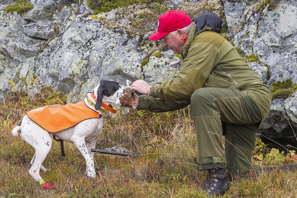 Rypejakt i Sverige | JEGER.NO