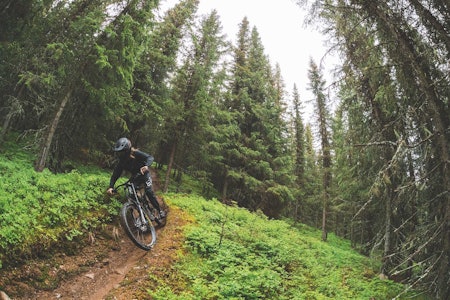 NM-TERRENG: Hafjell Bike Park har nok av fete utforløyper å by på. I helgen er det både norgescup og norgesmesterskap i utforsykling. Arkivfoto: Kristoffer H. Kippernes. nm utforsykling hafjell