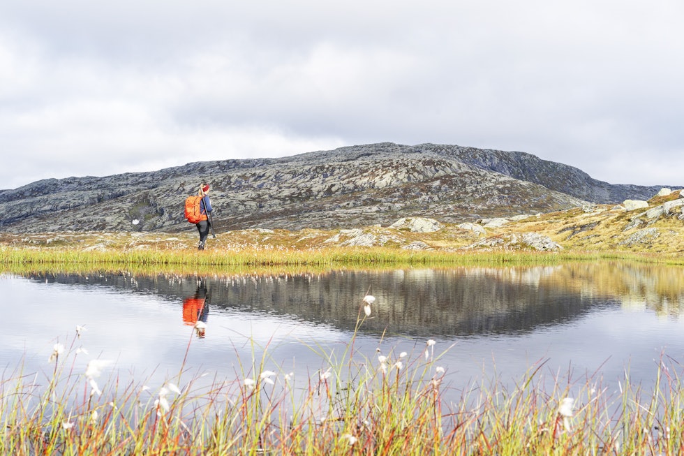 Tips til rypejakt | JEGER.NO