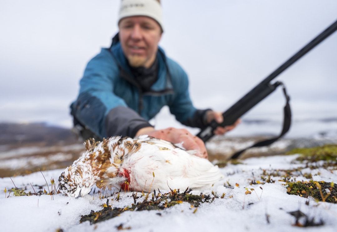 Tips til rypejakt | JEGER.NO