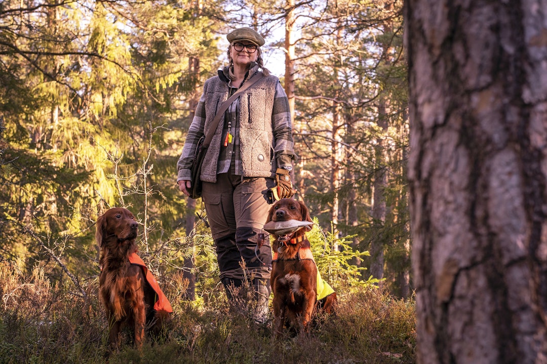 Hund er best: Charlotte Røvig-Morbech (48) bruker lett 20 timer i uka på å trene de to irske setterne Birk og Trek. Jeger med to jakthunder