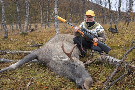 INTROJAKT: Helt rått:  – Det var en helt rå opplevelse! Karoline K. Pedersen er svært fornøyd etter livets første elgfall. Jeger på introjakt med felt elg