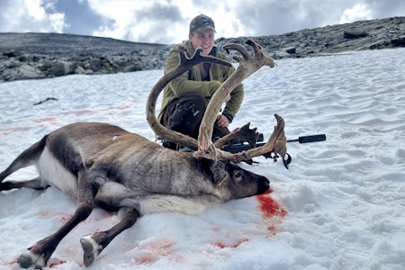 REIN LYKKE: Å felle sin første storbukk er en uforglemmelig opplevelse for en jeger. (Foto: Thomas Laugen) REIN LYKKE: Å felle sin første storbukk er en uforglemmelig opplevelse for en jeger. (Foto: Thomas Laugen)