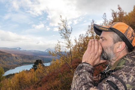 Kan ikke du komme til elgoksen, kan den kanskje komme til deg? Lokking gir ofte trygge skuddsituasjoner. Her lokker Nils Arne med Liavatnet og Sotskarvet i bakgrunnen. Jeger lokker på elgokse