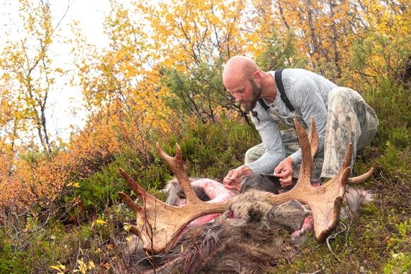 DYRERE: Nå blir det dyrere å felle større elger. Ill.foto: Kjell-Erik Moseid.