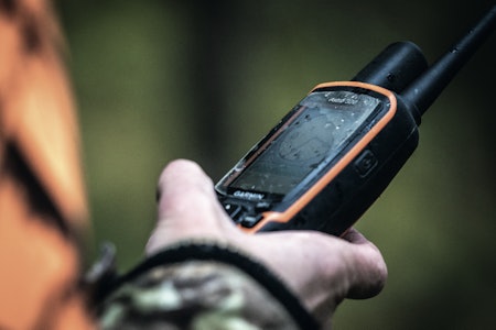 GPS under jaktprøve for hund