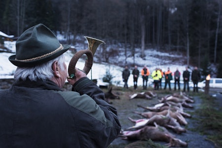 JAKTREISE: På Hjortejakt i Tsjekkia. Jaktlag i Tsjekkia