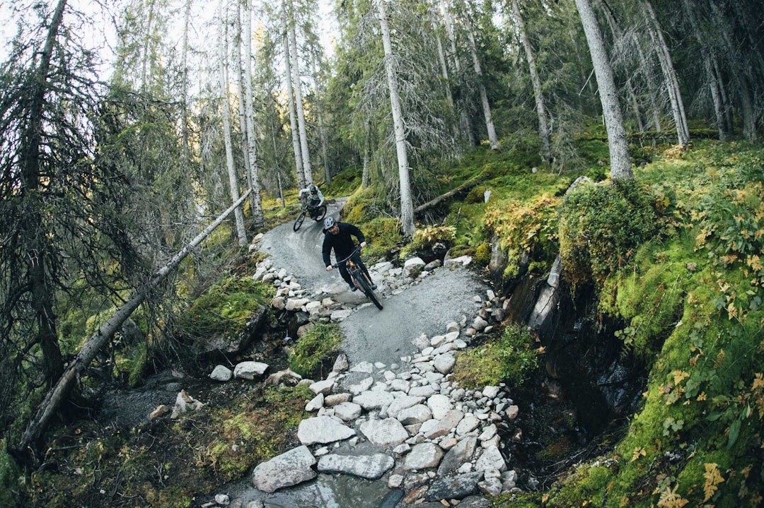 DRØMMETUR: Kanskje skal du gi bort en turopplevelse i julegave i år? Foto: Kristoffer H. Kippernes. stisykling julegave