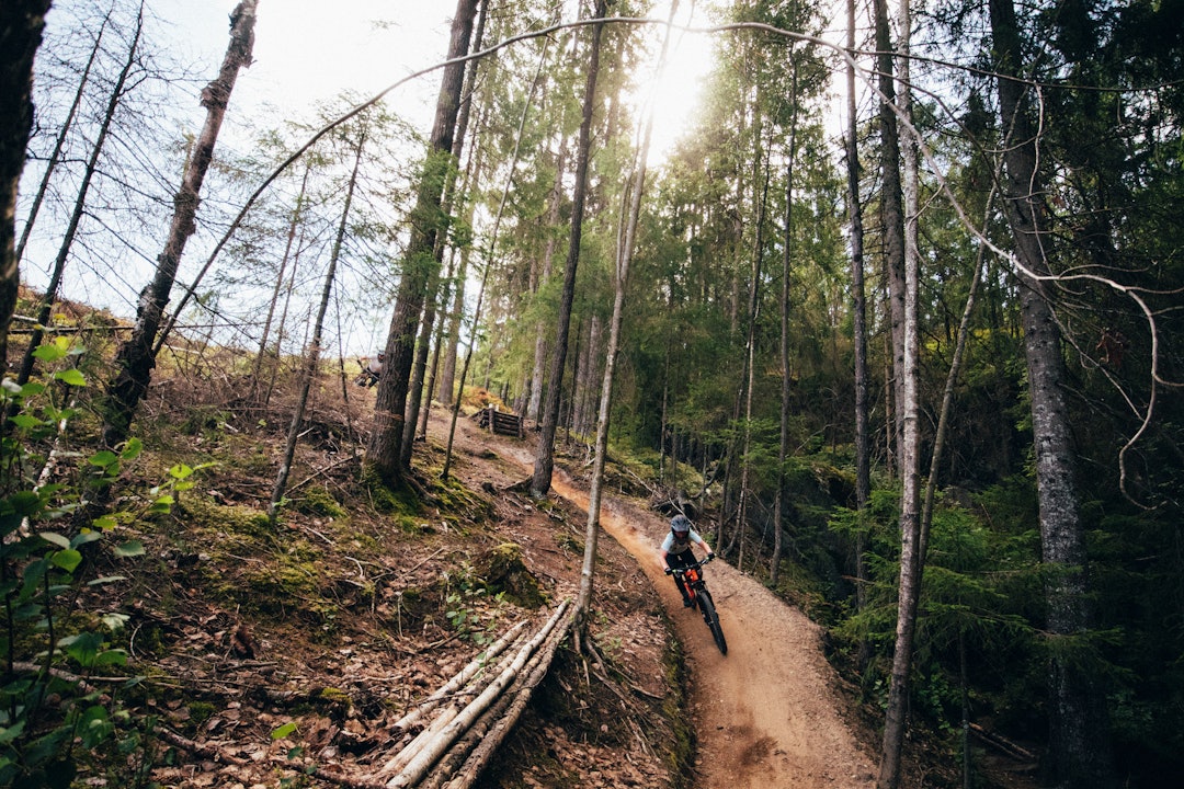 ENTUSIAST-STIER: I Kjerringåsen har ildsjeler stått på for å lage fete heisbaserte stier. Foto: Kristoffer H. Kippernes. kjerringåsen 2023 åpningstider