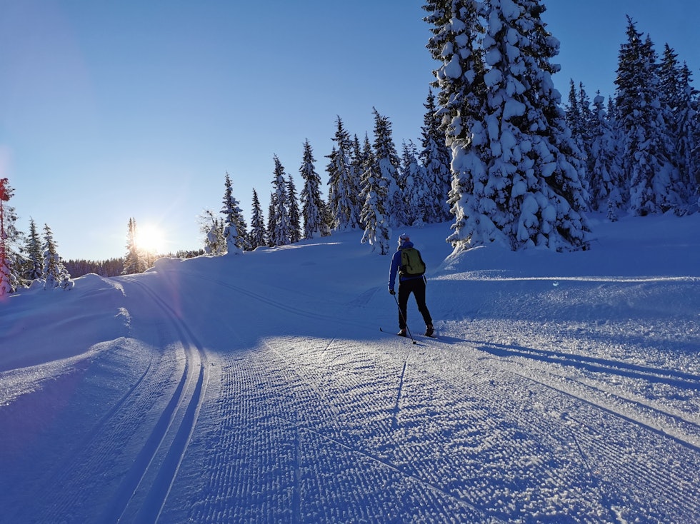 MOTSOLS: Kaldt, men vakkert i løypene mellom Beitostølen og Danebu. Foto: Gunhild Aaslie Soldal langrenn skitur valdres